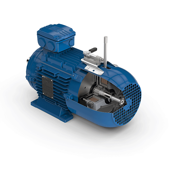 Brake_Motor_with_Manual_Release _and_Locking_Device.png